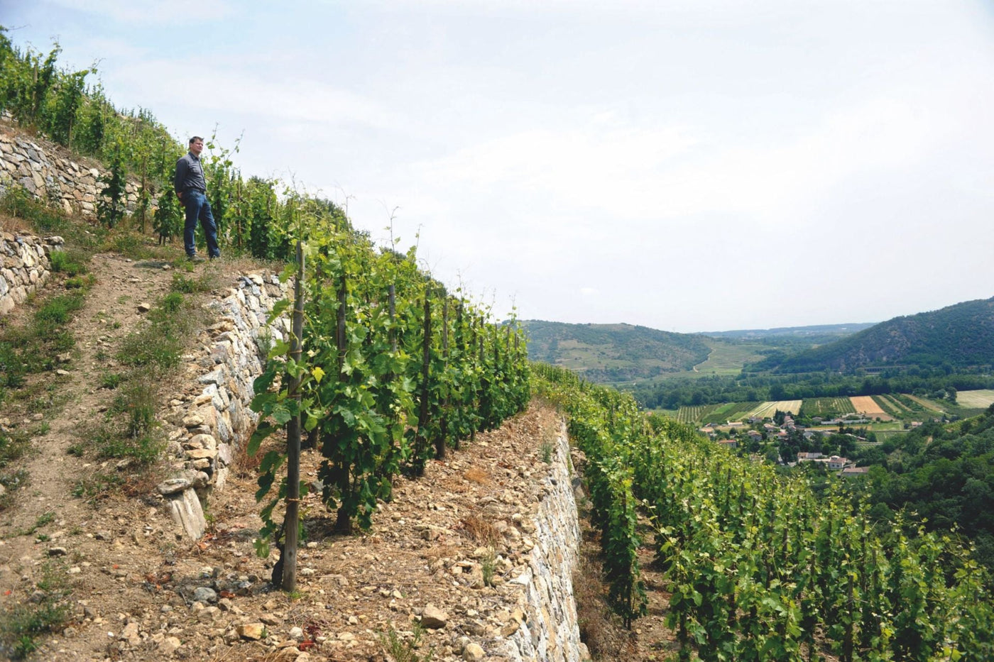 Domaine Monier Perréol